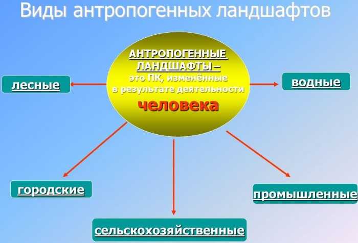 Природный комплекс — компоненты, план и описание | названия и фото