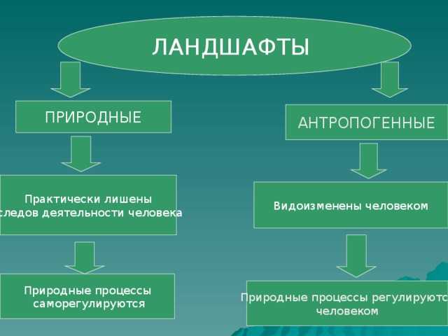 Природный комплекс — компоненты, план и описание | названия и фото