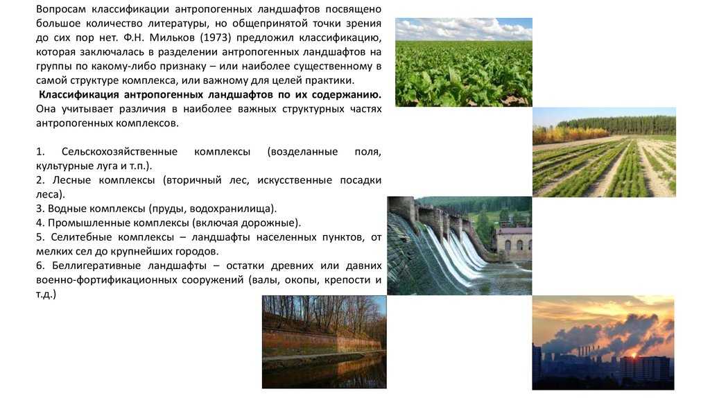 Природные комплексы