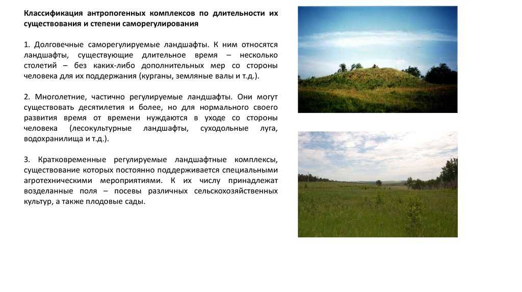 Проектирование природно-антропогенных комплексов