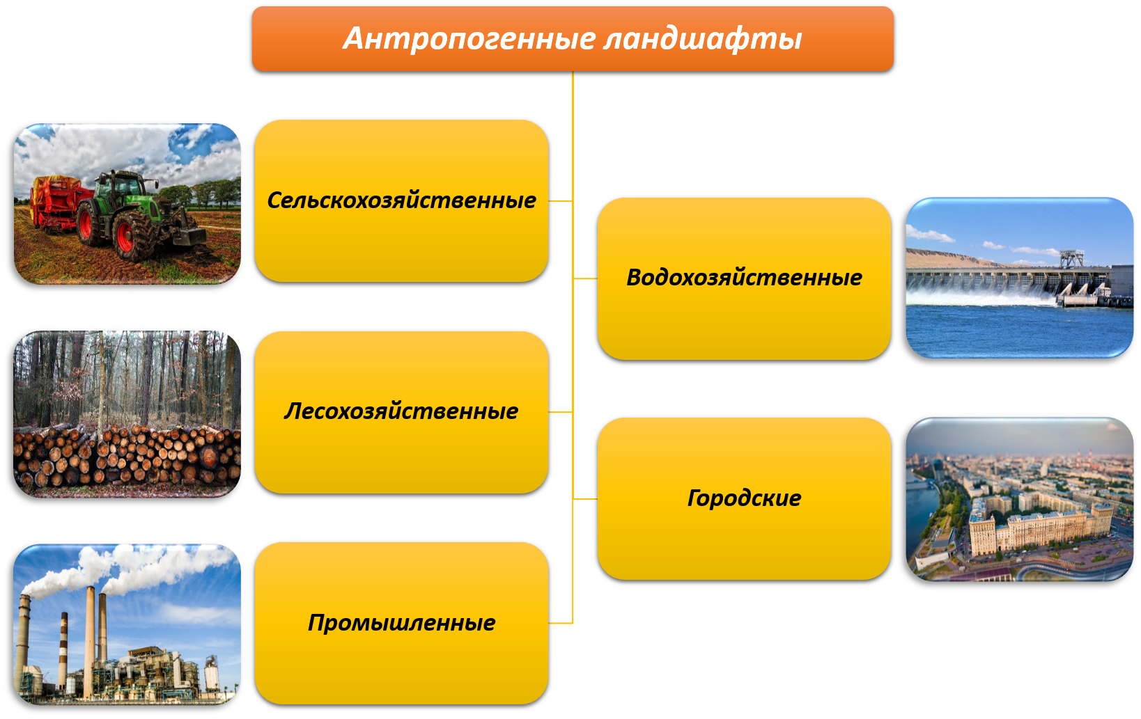 Природные комплексы: размеры, виды и краткое описание