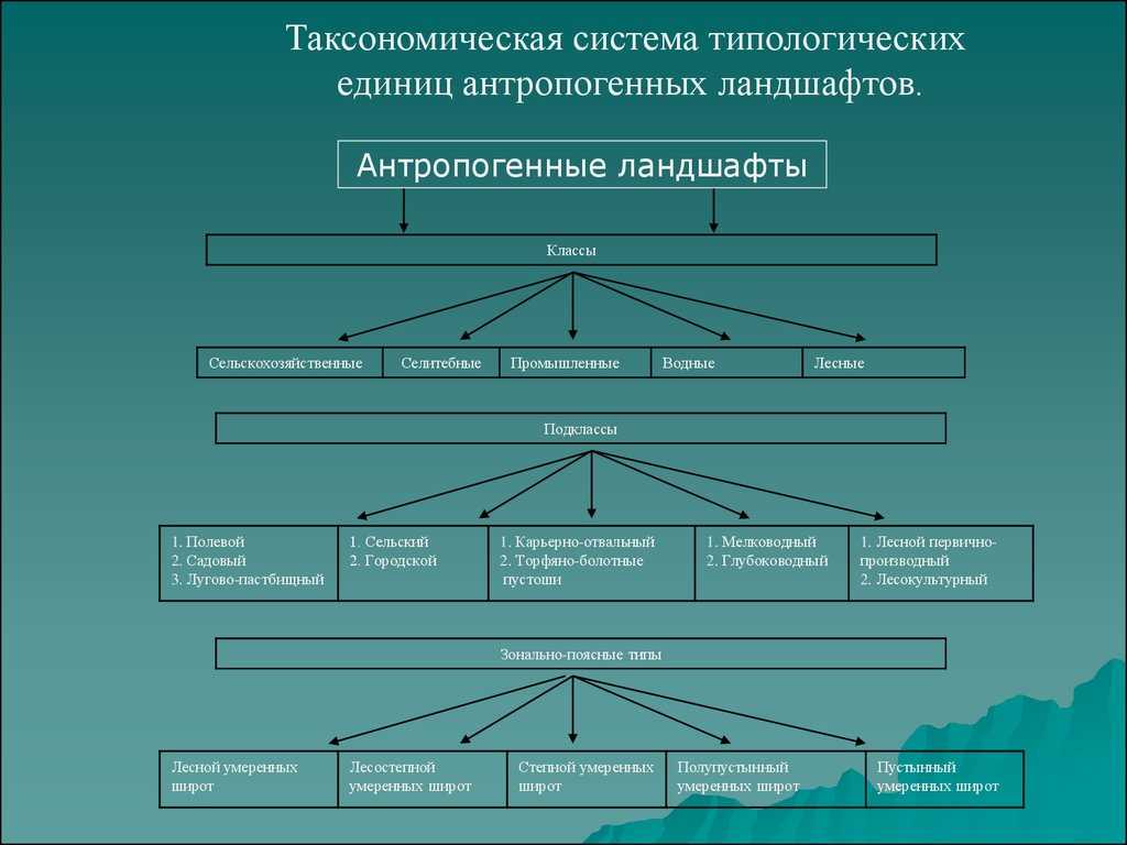 Какие природные комплексы называются антропогенными география 7 класс кратко