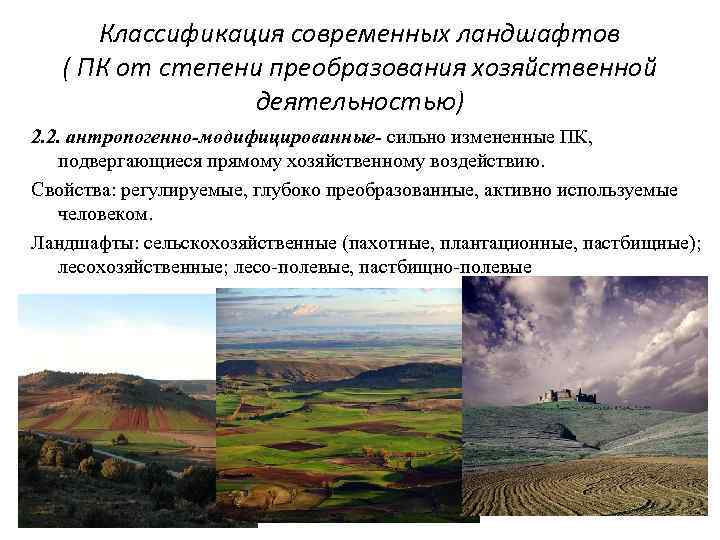 Антропогенные ландшафты созданные человеком