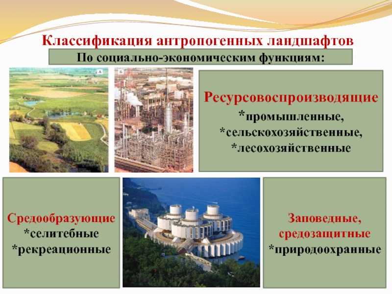 Антропогенные ландшафты созданные человеком