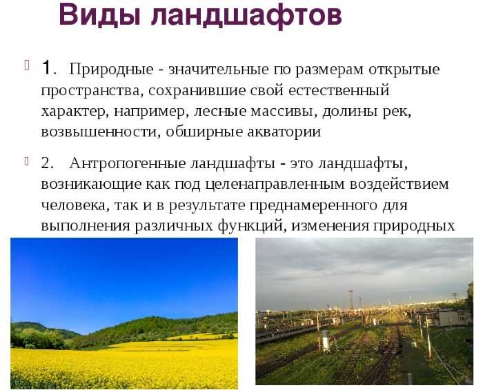 Природные комплексы: размеры, компоненты, примеры и характеристика — природа мира