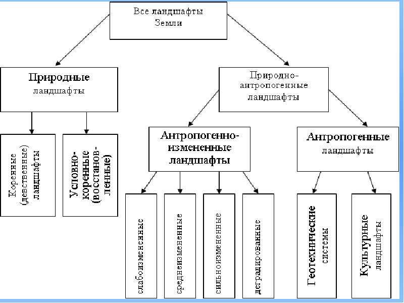 Виды антропогенных ландшафтов с примерами