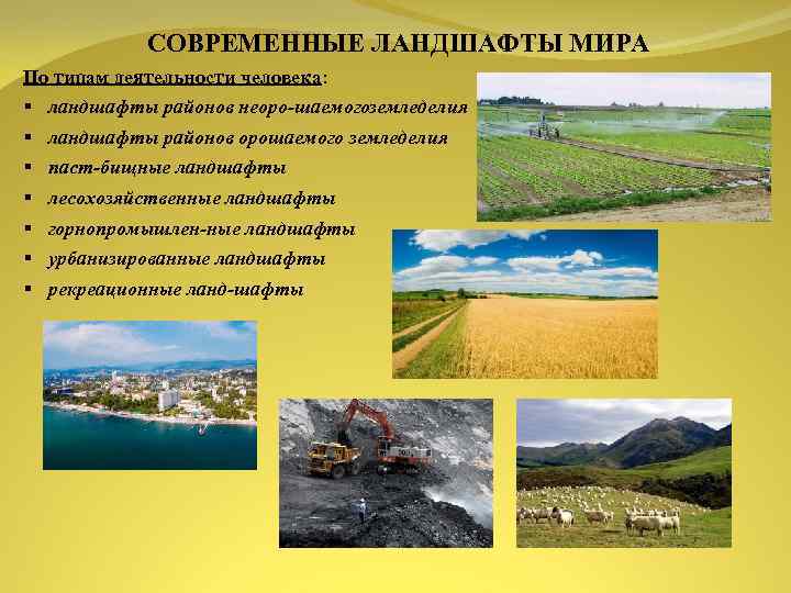 Антропогенный ландшафт по милькову