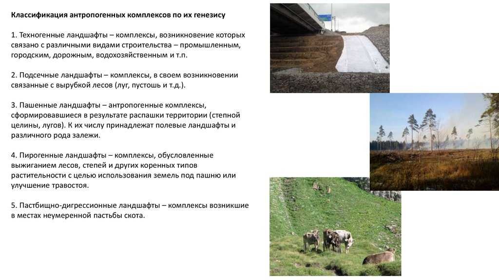 Антропогенный объект: определение, примеры и значение в экологии