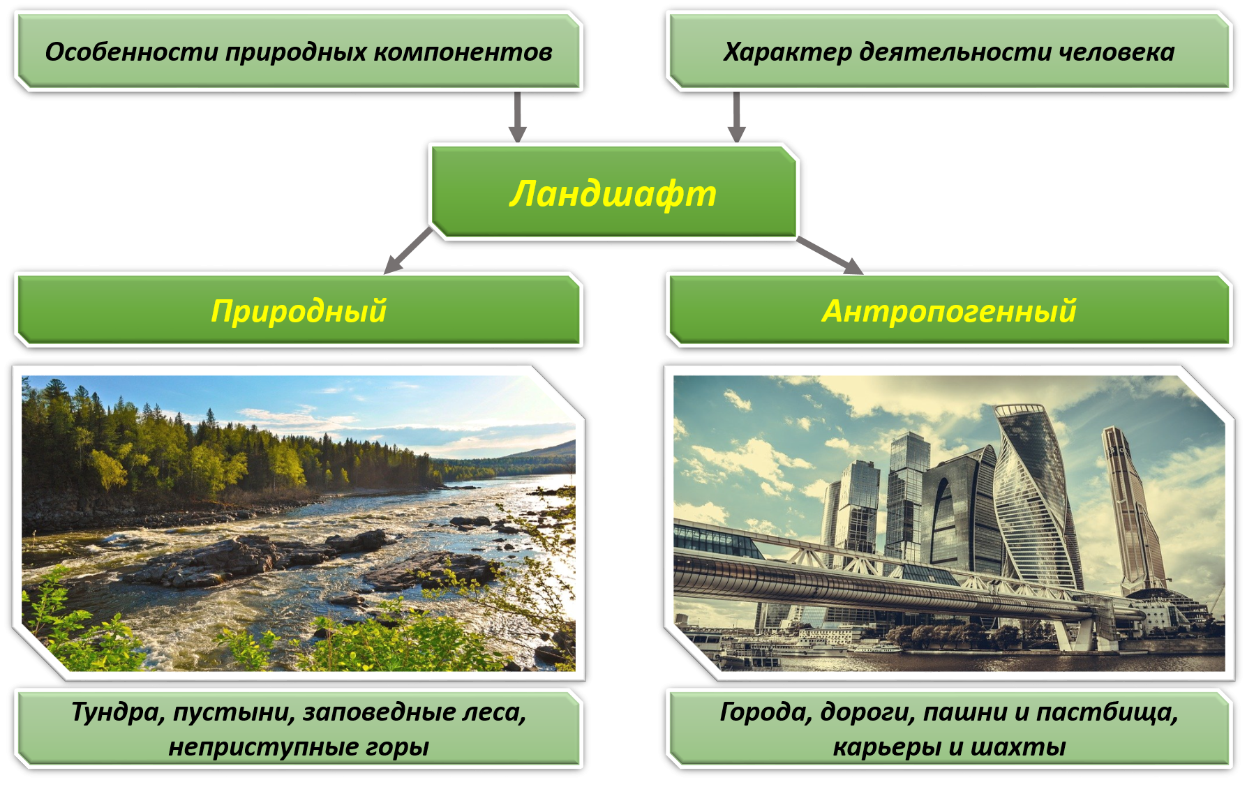Что такое антропогенный комплекс? - ответы на вопросы