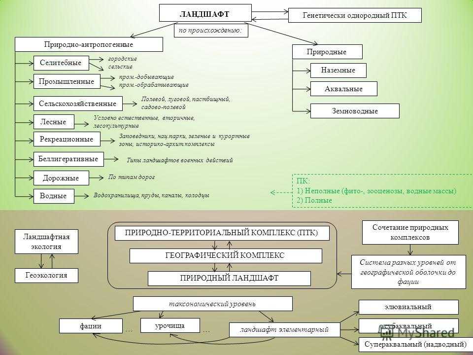 Что такое антропогенный комплекс и примеры
