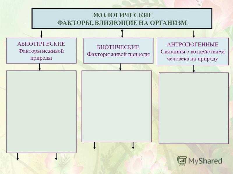 Экологические факторы: биотические, абиотические, антропогенные