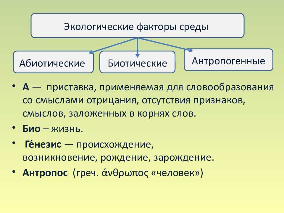 Экологические факторы: примеры - кудаградусник.ру