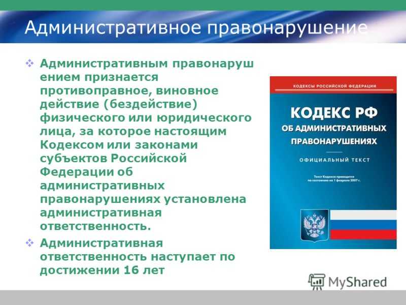 Что такое административный проступок и виды ответственности за него в 2020 году