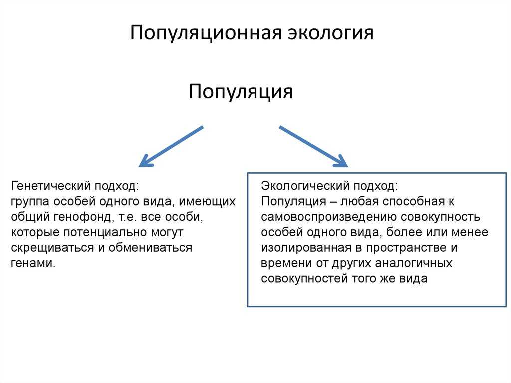 Демэкология, или экология популяций