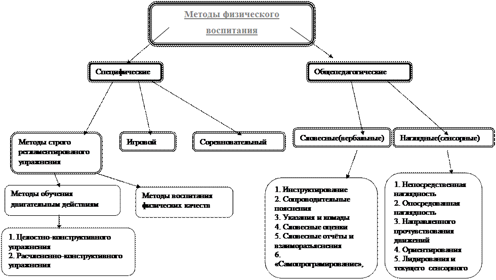 Физические упражнения как основное средство физического воспитания