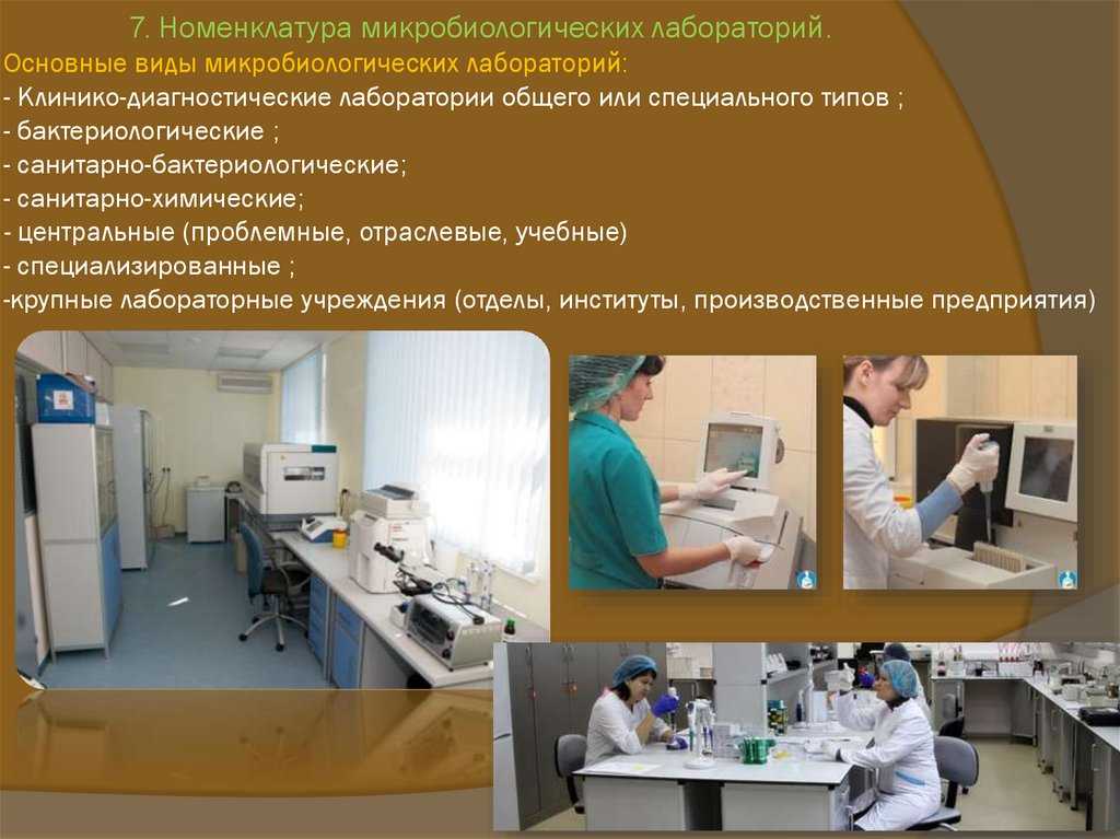 Транспортировка анализов крови в лабораторию алгоритм