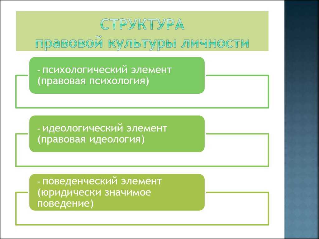 Правосознание и правовая культура - теория государства и права (емельянов б.м., 2004)