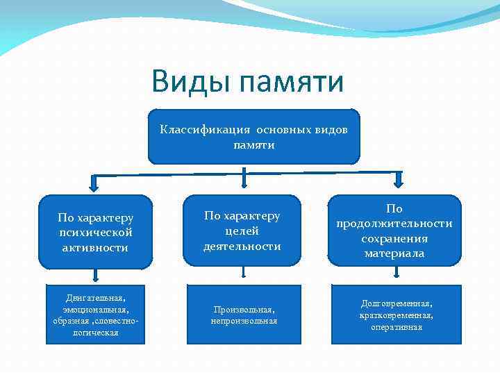 Виды памяти человека