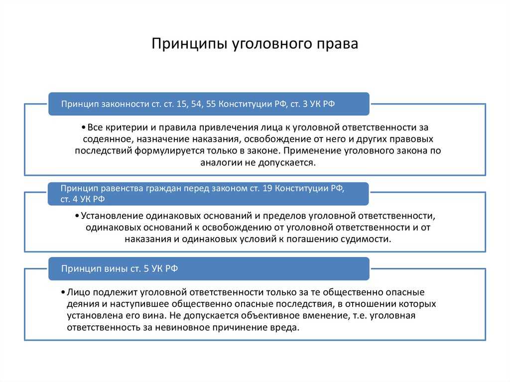 Принципы уголовного права