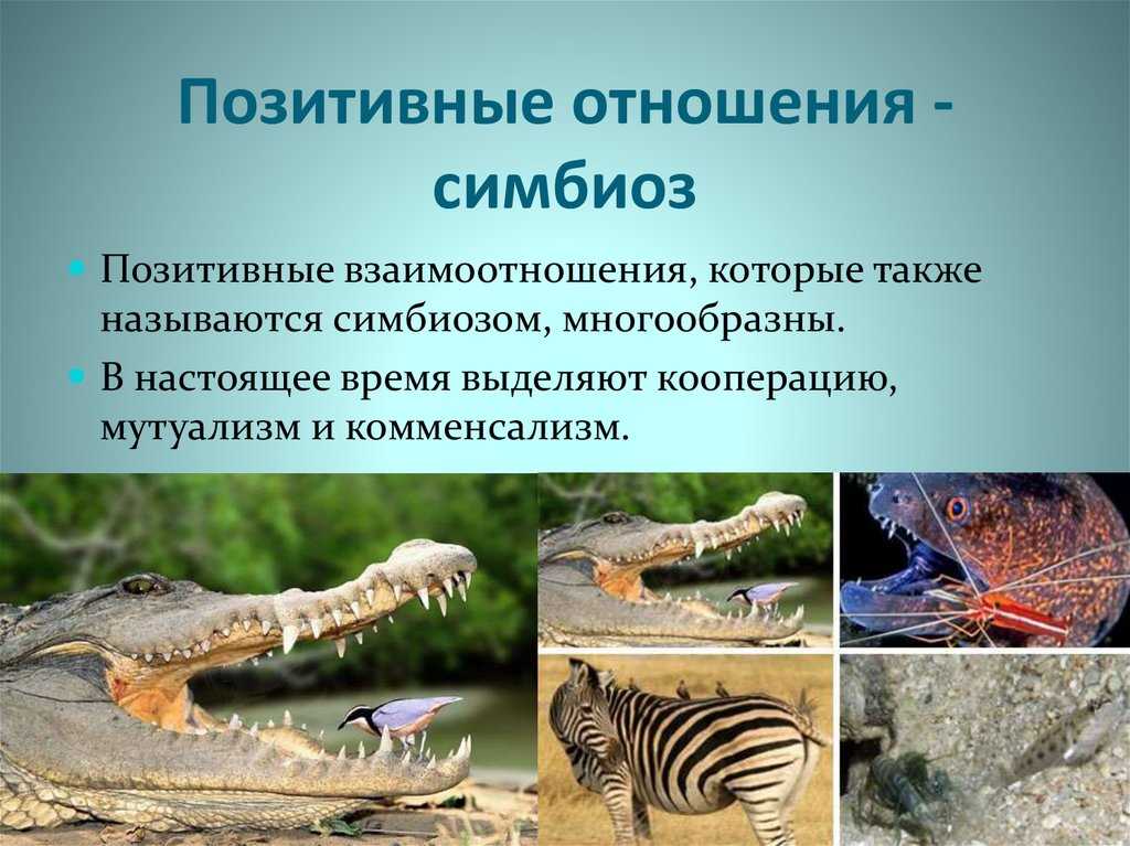 Сотрапезничество это — от земли до неба