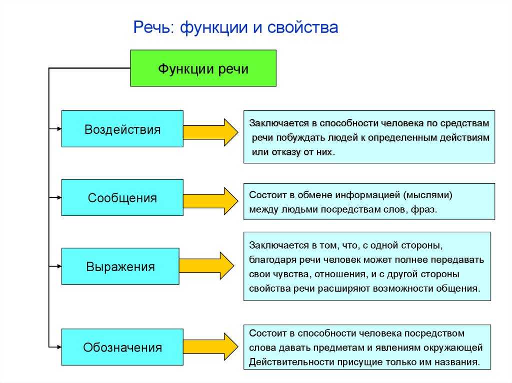 Основные виды речи