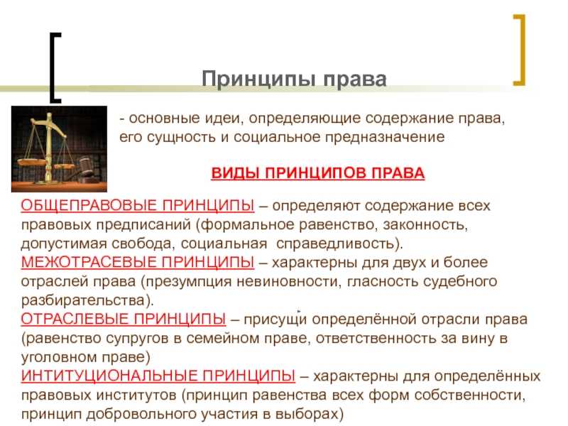 Принципы права, их классификация и роль в правовом регулировании - вопросы на госэкзамен по тгп | юрком 74