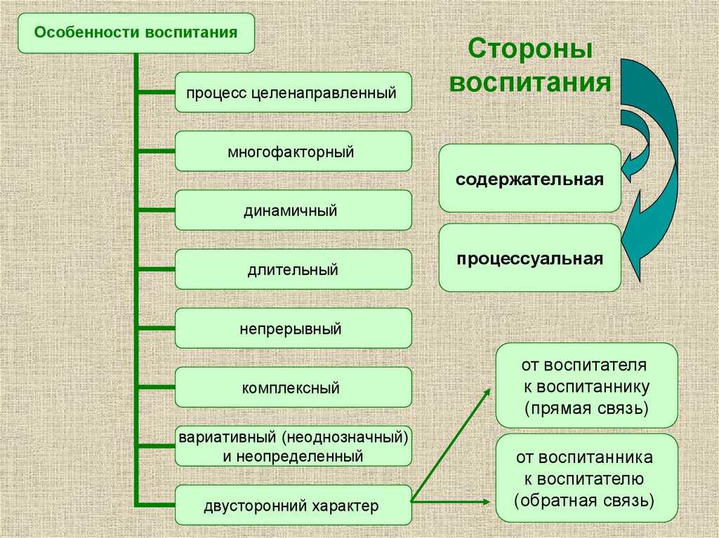 Этапы воспитательного процесса кратко