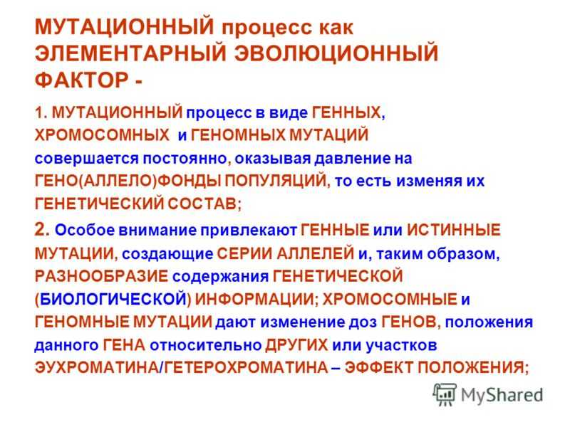 Об элементарных эволюционных факторах