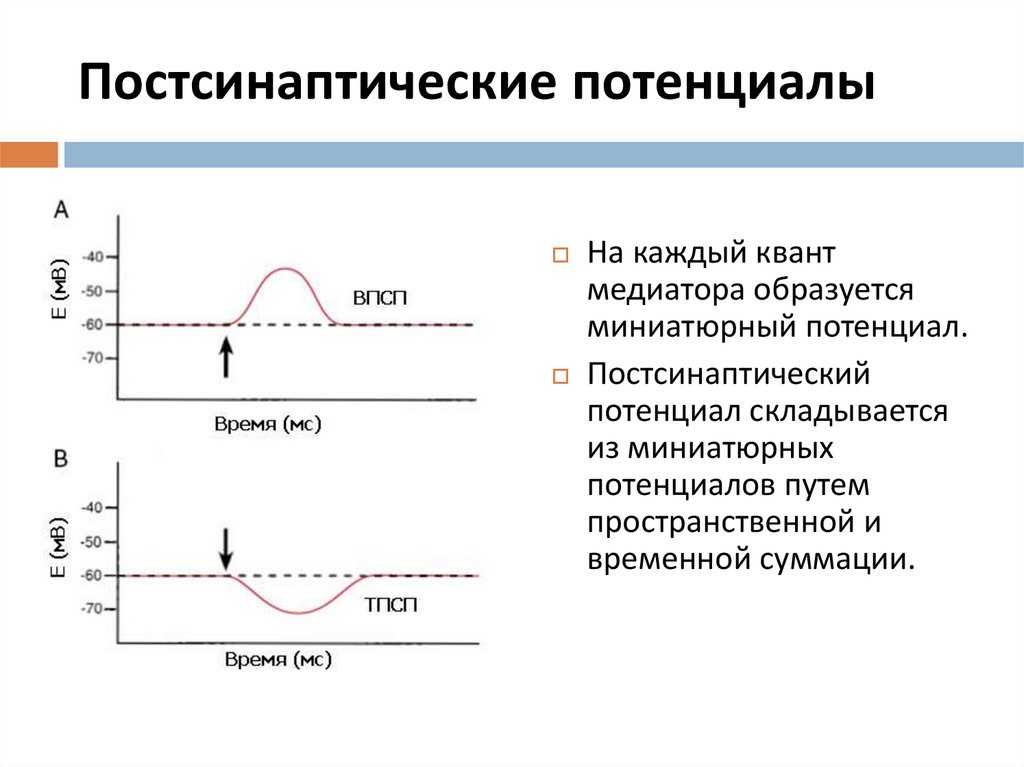 Физиология online | тематический план