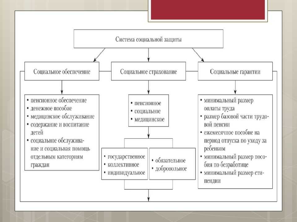 Организация социальной защиты населения