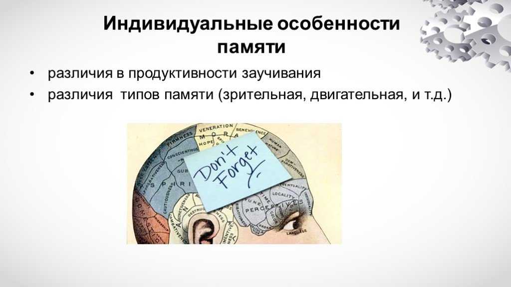 Индивидуальные особенности памяти