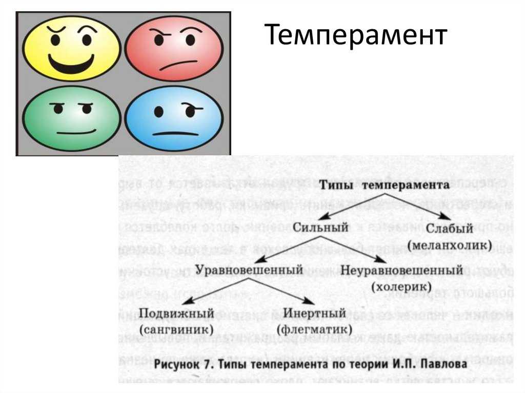 Черты личности и структура характера