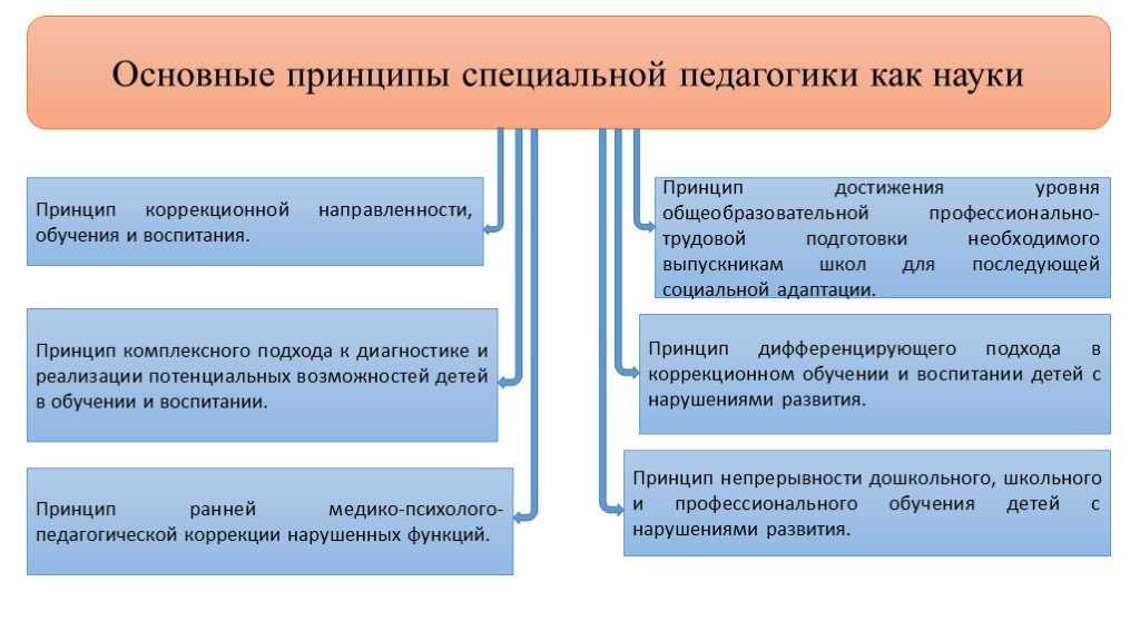 1.4. принципы специальной педагогики. педагогические системы обучения и воспитания детей с отклонениями в развитии