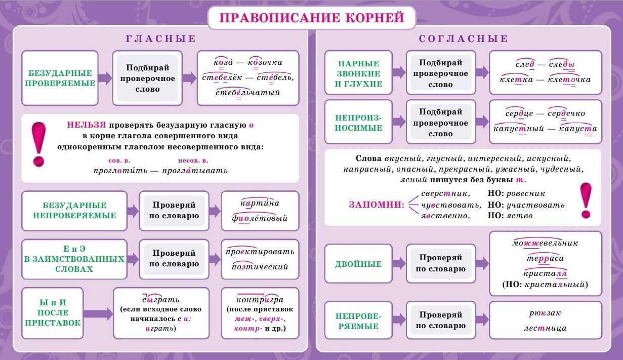 Разделы орфографии русского языка основные группы орфограмм