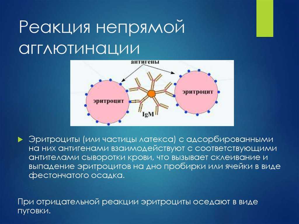 Способ получения латексного диагностикума для постановки реакции латекс-агглютинации