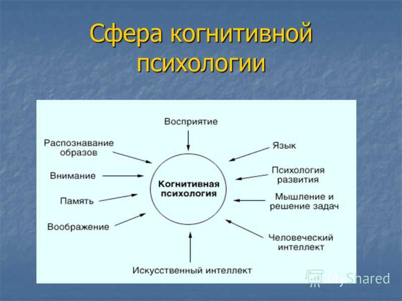 Познавательная сфера человека