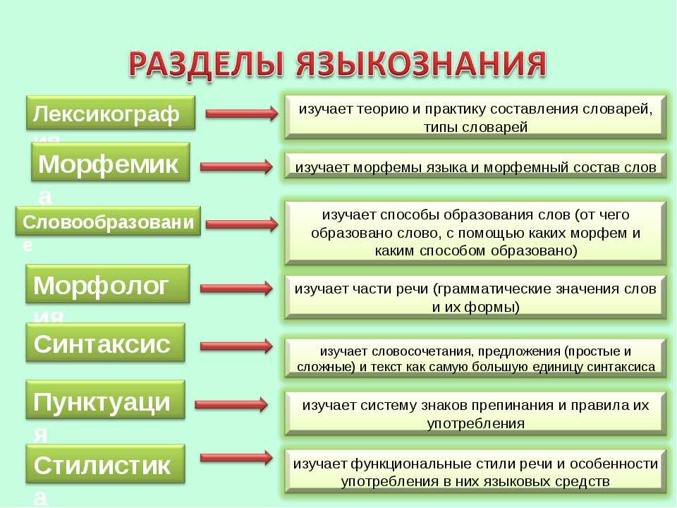Разделы языкознания (место лингвистических дисциплин)