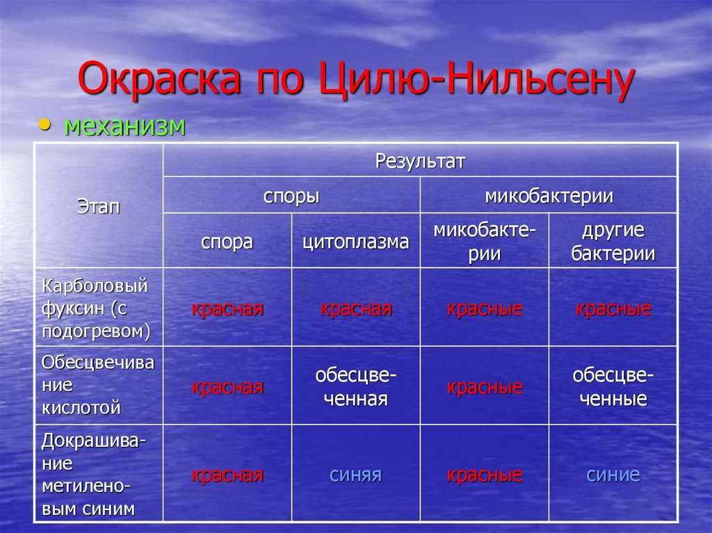 Кислотоустойчивые бактерии по цилю нильсену | признаки, лечение и диагностика вгкб № 2