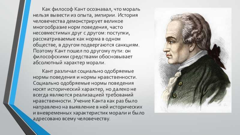 Философия канта – основные принципы и понятия