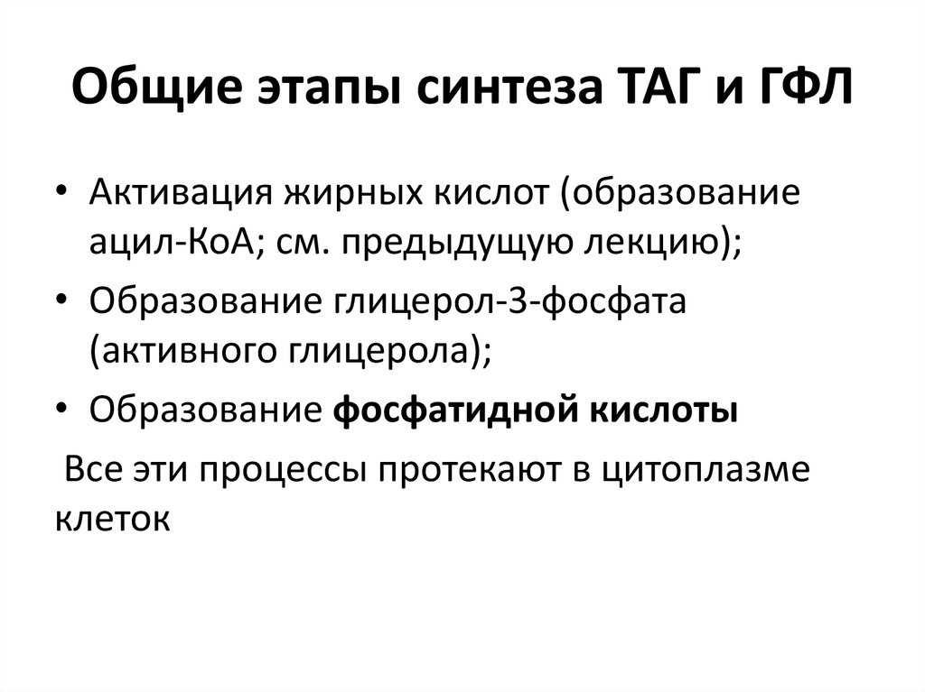 Глава 20. обмен триацилглицеролов и жирных кислот