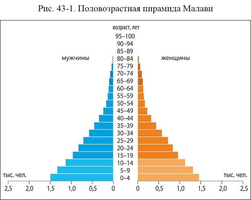 Возрастная и половая структура населения мира