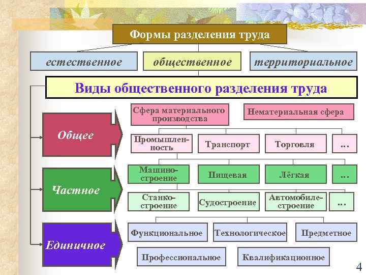 Социально-экономическая география: территориальное (географическое) разделение труда