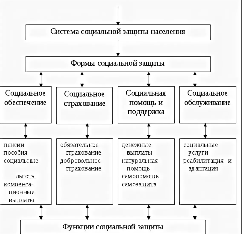Социальная защита