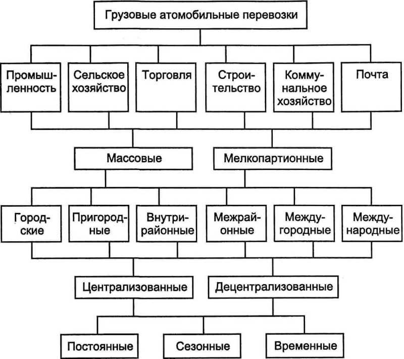 Виды грузовых перевозок: расскажем о самых эффективных способах