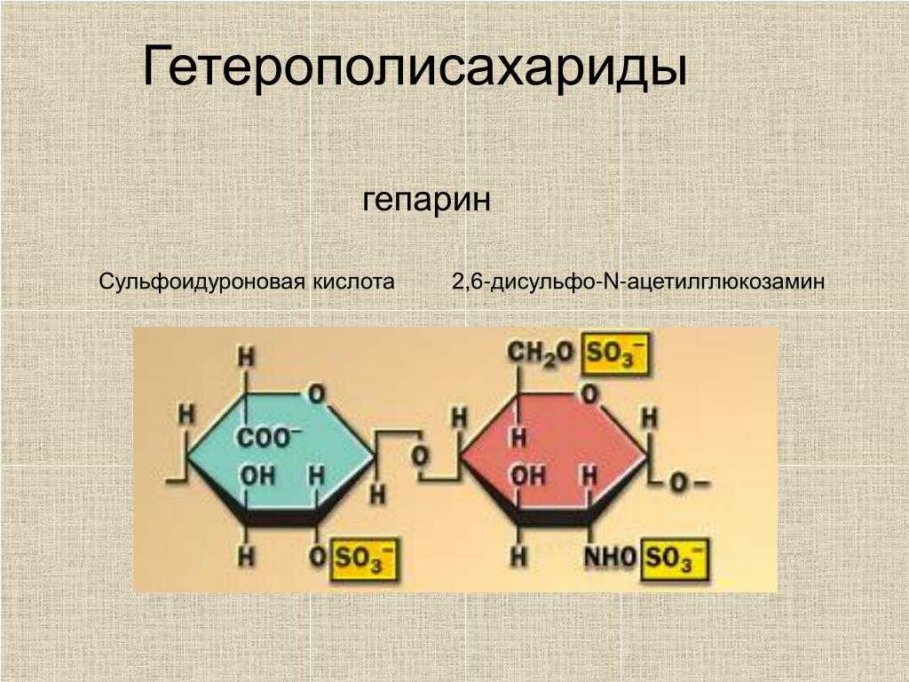 Углеводы. строение моносахаридов, дисахаридов и полисахаридов - опиум