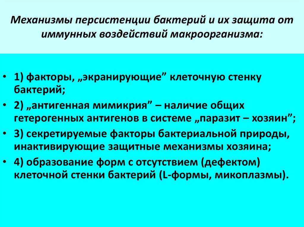 Персистирующая инфекция что это такое