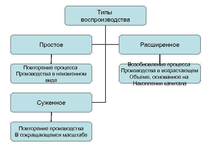 Воспроизводство и его фазы