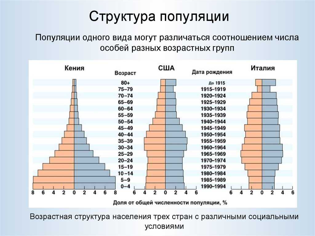 Возрастная структура популяции доклад