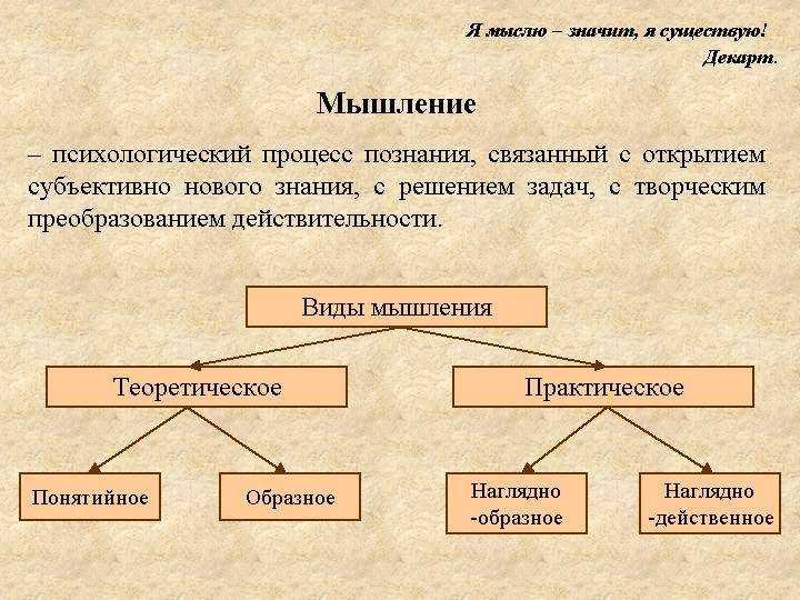 Мышление. общая характеристика мышления. реферат. психология. 2009-01-12