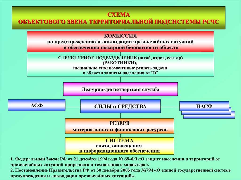 Персональный сайт - 2 учебный вопрос. состав рсчс